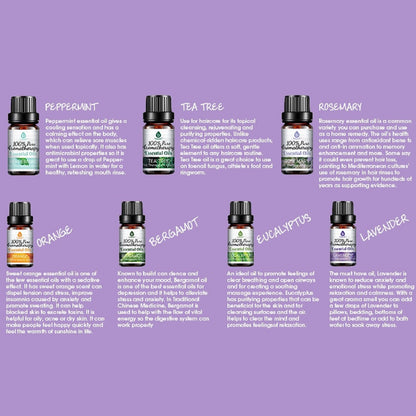 14 Pack of 100% Pure Essential Aromatherapy Oils